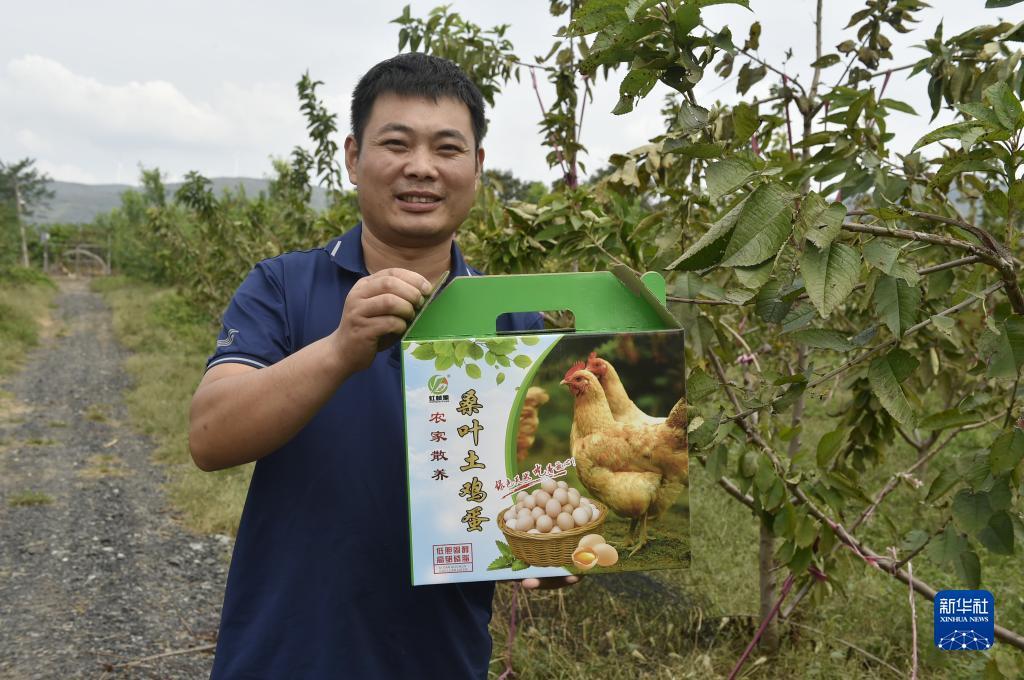 线上打鱼提现